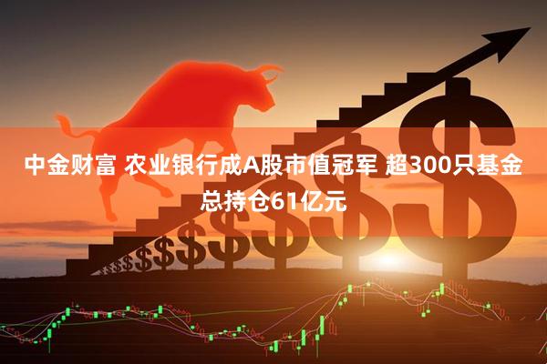 中金财富 农业银行成A股市值冠军 超300只基金总持仓61亿元