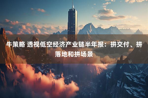 牛策略 透视低空经济产业链半年报：拼交付、拼落地和拼场景