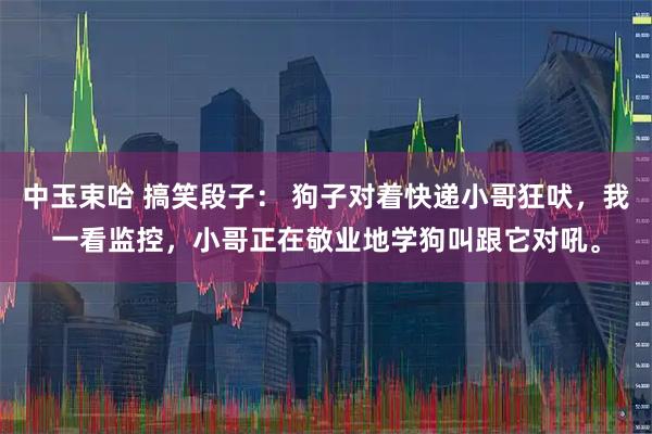 中玉束哈 搞笑段子： 狗子对着快递小哥狂吠，我一看监控，小哥正在敬业地学狗叫跟它对吼。